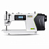 DOLLOR B31-W